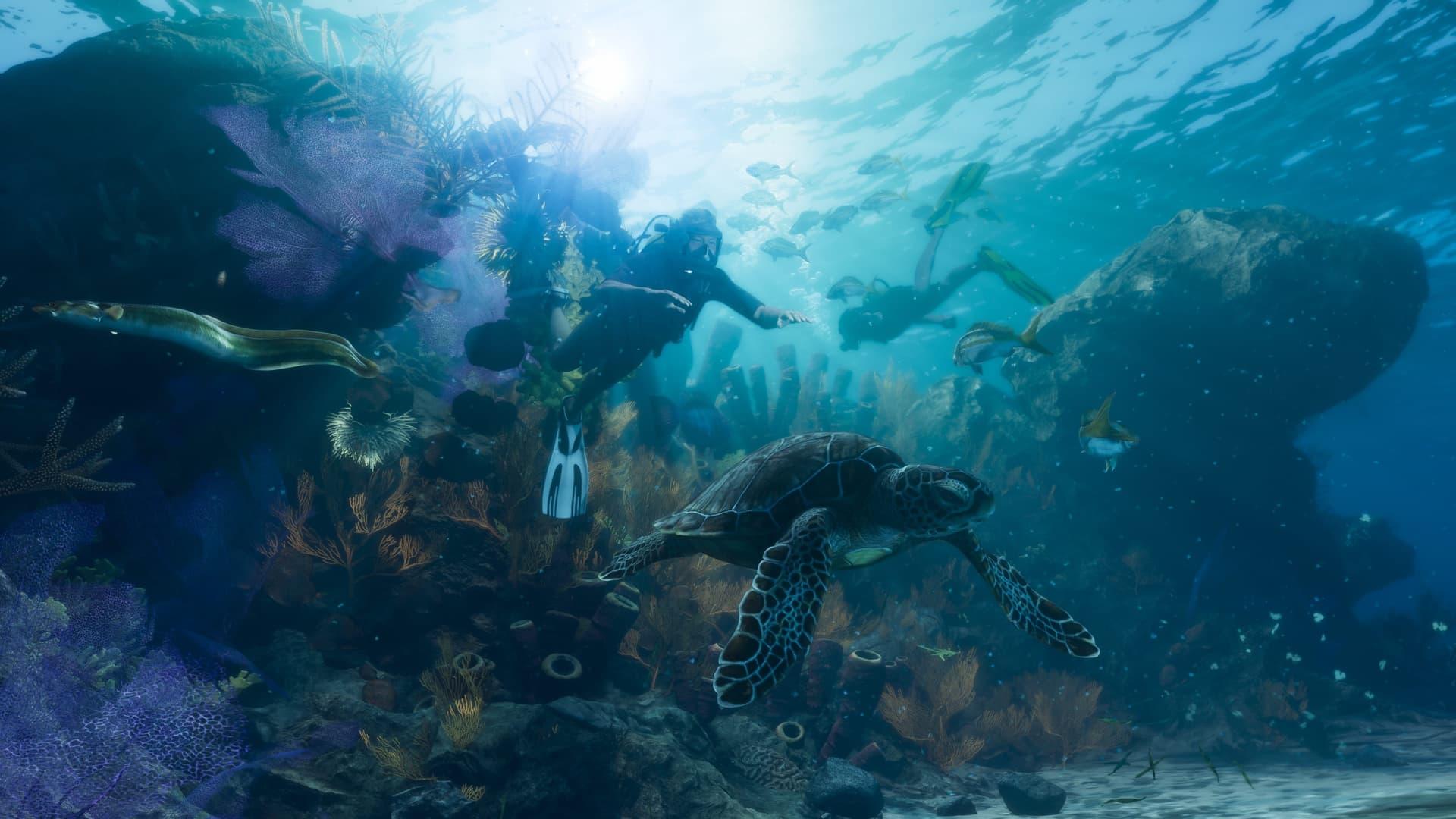 Two scuba divers over a coral reef with a sea turtle and an eel